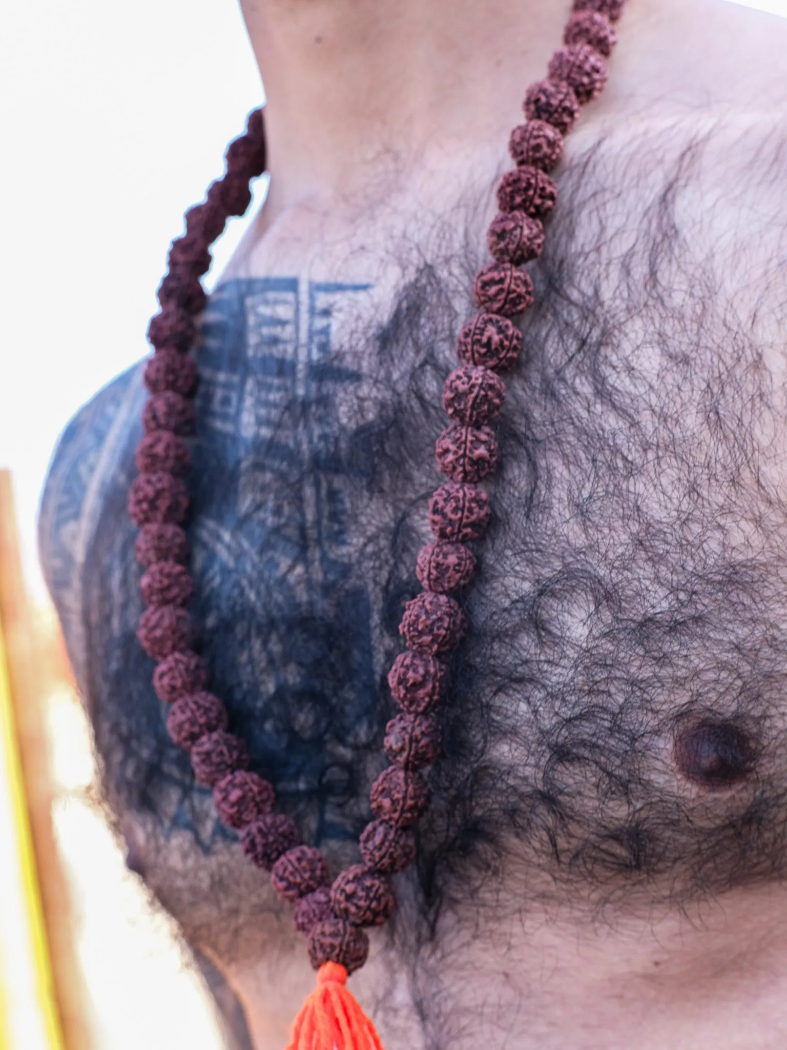 Aghori Rudraksha  Necklace