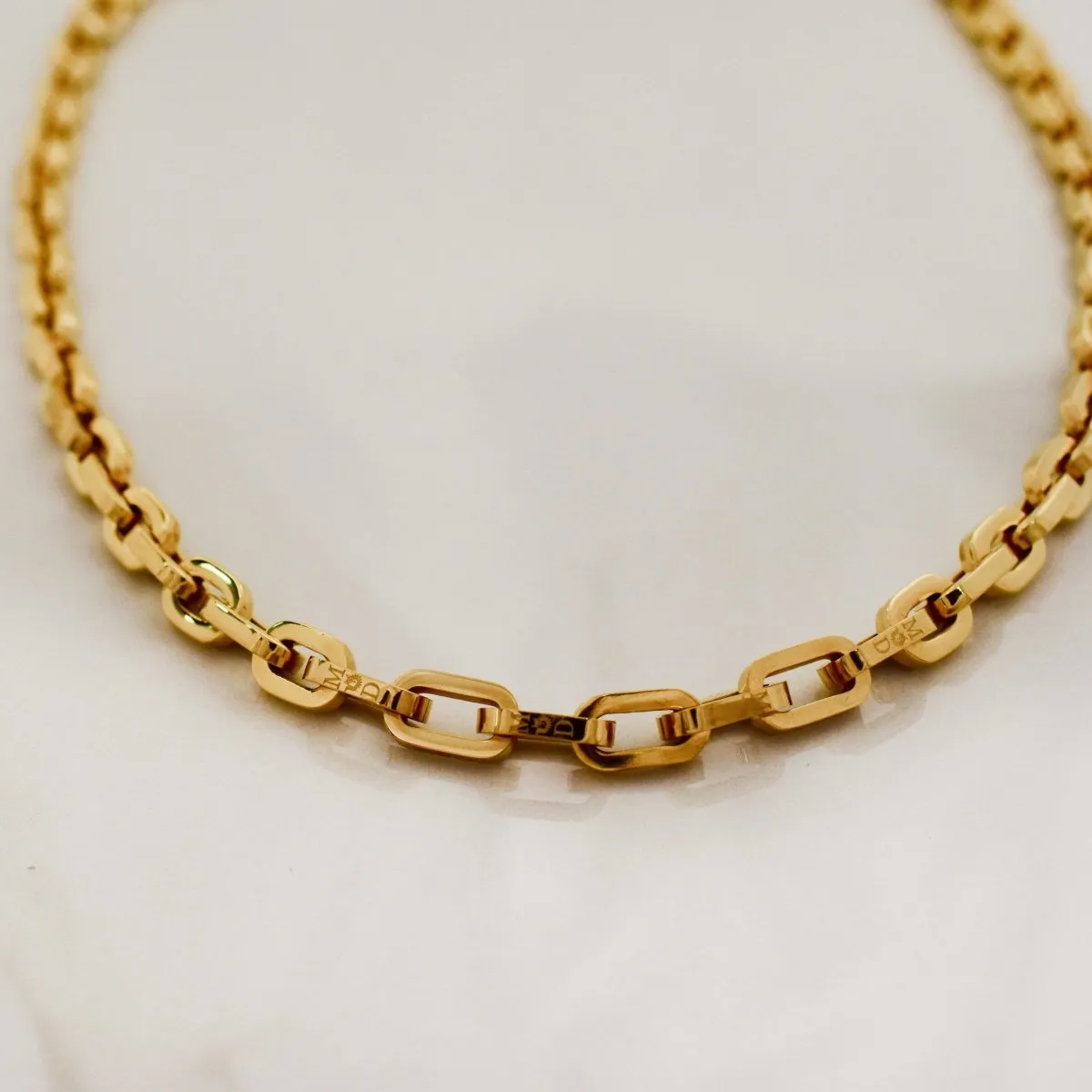 Cleo Link Chain Necklace