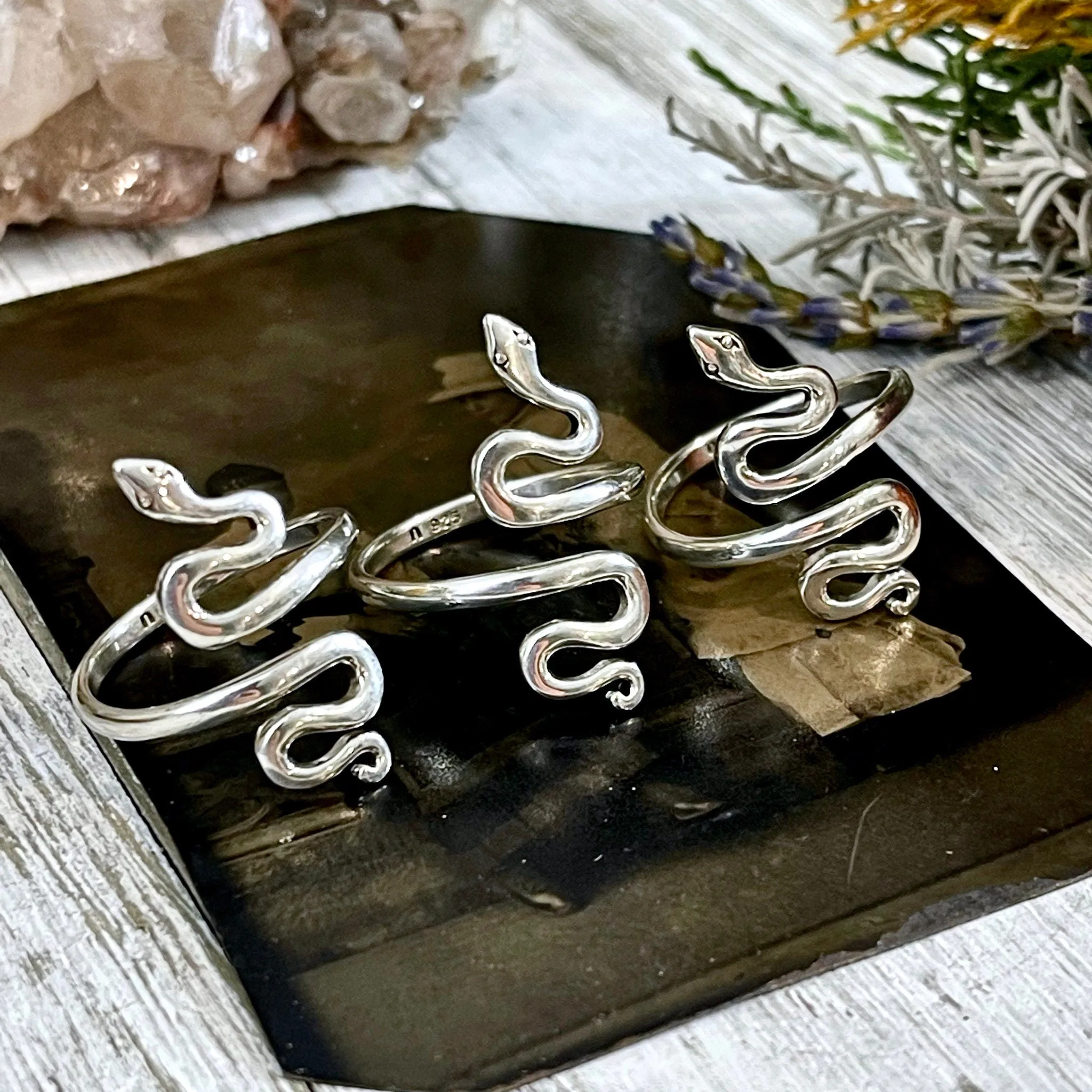 Snake Ring in Sterling Silver Adjustable / Tiny Talismans Collection