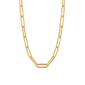 TI SENTO-Milano Sterling Silver with Yellow Gold Plating Link Necklace